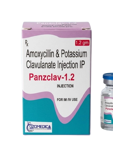 panzclav 1.2
